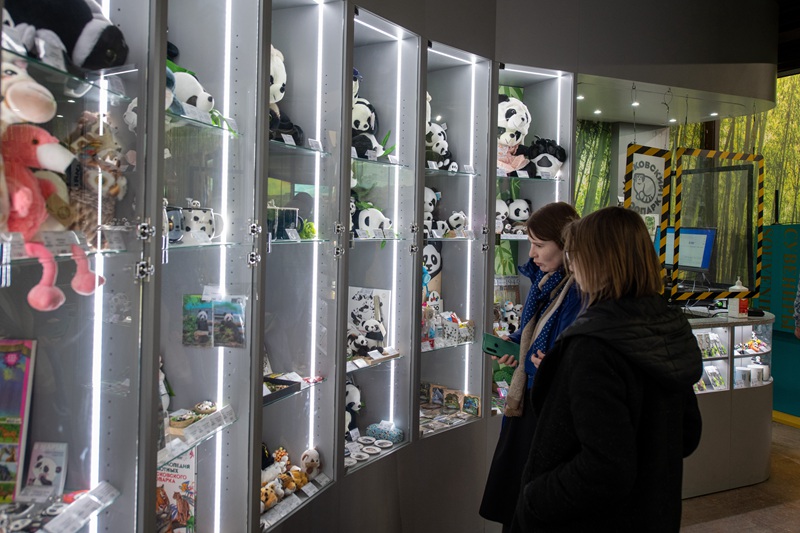 Panda wapendwa waliopo Russia wavutia watalii wengi mfululizo