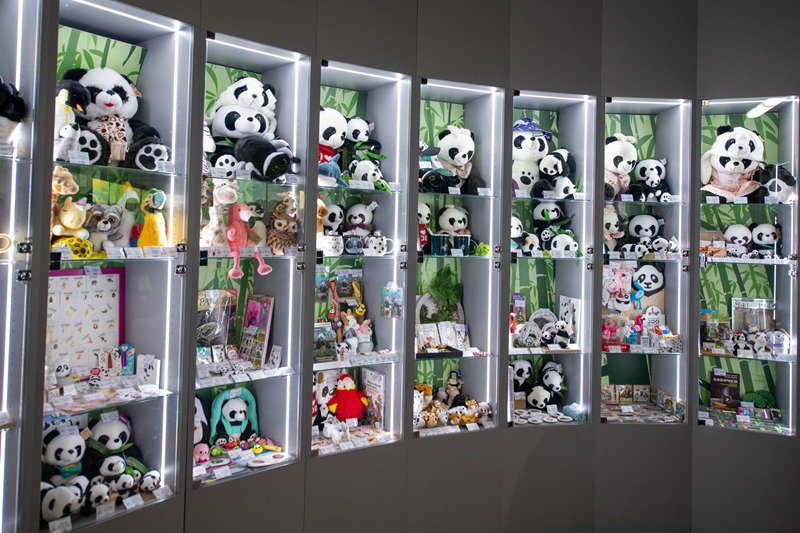 Panda wapendwa waliopo Russia wavutia watalii wengi mfululizo