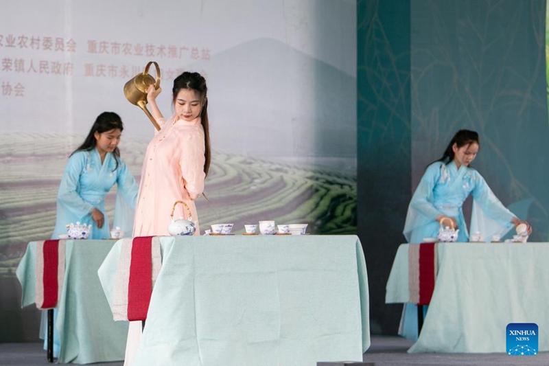 Sekta ya chai yawekewa mkazo katika Wilaya ya Yongchuan, Kusini Magharibi mwa China ili kuongeza mapato ya wakulima 