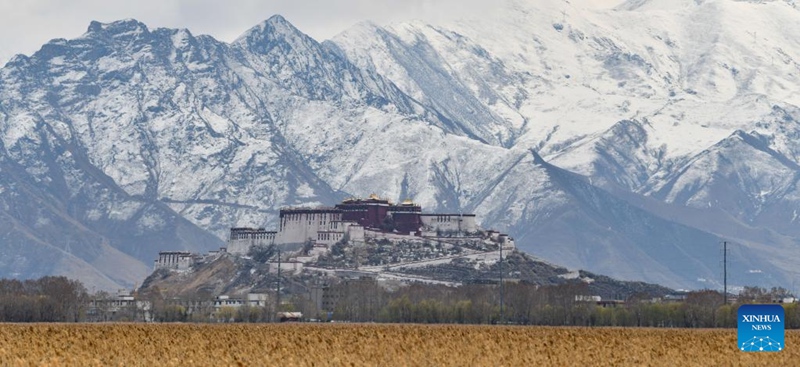 Mandhari ya Kasri la Potala baada ya theluji kuanguka huko Lhasa, Kusini Magharibi mwa China