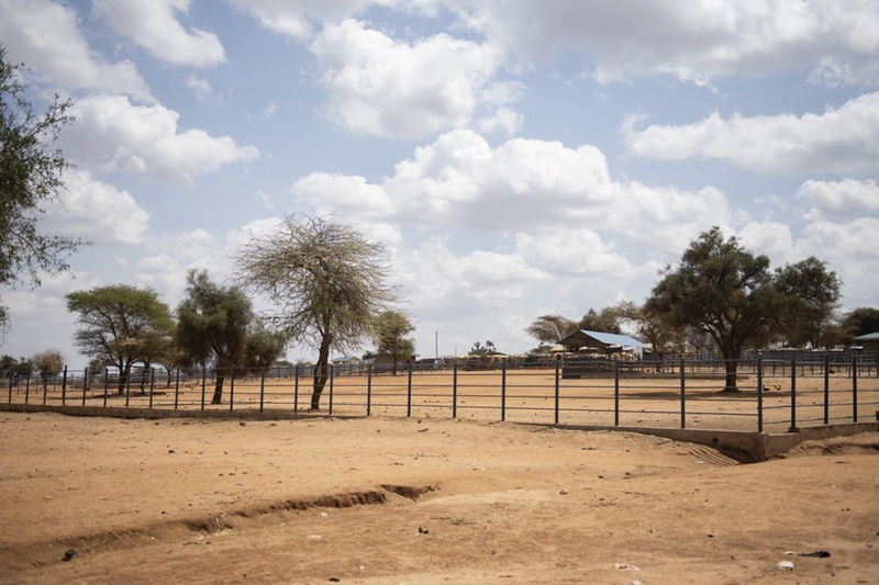 Picha hii iliyopigwa Februari 28, 2023 Ikionyesha soko la mifugo ambalo halina watu wala mifugo katika Kaunti ya Kajiado, Kenya. (Xinhua/Li Yahui)