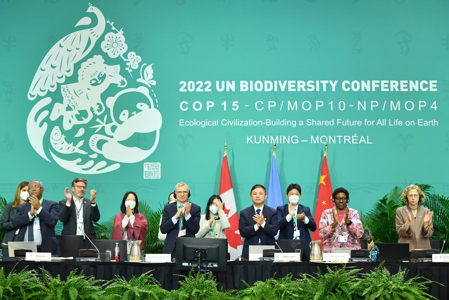 https://english.news.cn/20230523/8b130c6a7c91465088d1a700f2598d18/202305238b130c6a7c91465088d1a700f2598d18_16dc130e-fbd3-46f1-983d-8e08659de21e.jpg