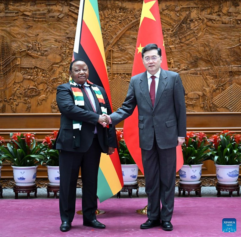 Waziri wa Mambo ya Nje wa China Qin Gang akifanya mazungumzo na Waziri wa Mambo ya Nje na Biashara ya Kimataifa wa Zimbabwe Frederick Shava mjini Beijing, China, Mei 29, 2023. (Xinhua/Zhang Ling)