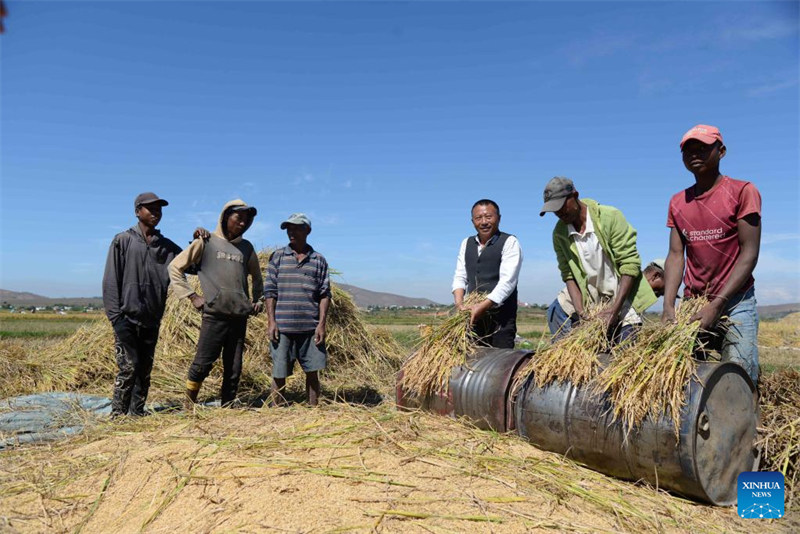 Wataalamu wa mchele chotara kutoka China waisaidia Madagascar kufikia usalama wa chakula