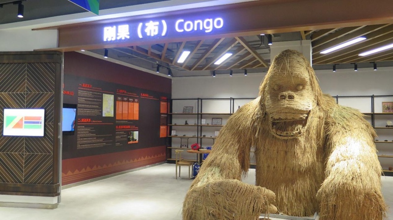 Picha: Kuingia kwenye ukumbi wa kudumu wa Maonesho ya Tatu ya Uchumi na Biashara ya China na Afrika