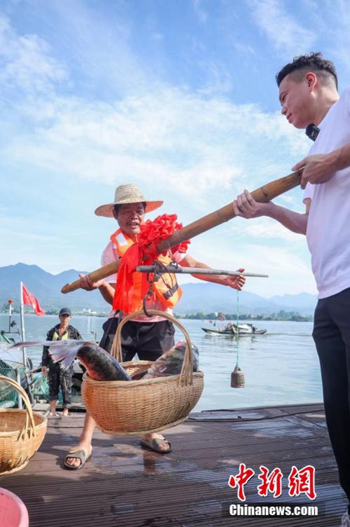 Tamasha la Uvuvi kwenye Mto Fuchun la Hangzhou lafanyika huko Hangzhou, China na uvuzi wa samaki waanza tena baada ya kupigwa marufuku kwa miezi minne