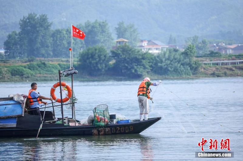 Tamasha la Uvuvi kwenye Mto Fuchun la Hangzhou lafanyika huko Hangzhou, China na uvuzi wa samaki waanza tena baada ya kupigwa marufuku kwa miezi minne