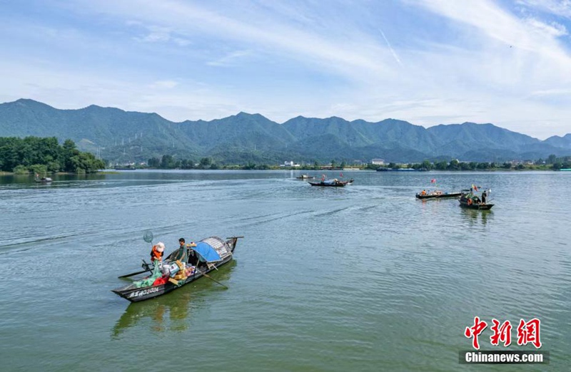 Tamasha la Uvuvi kwenye Mto Fuchun la Hangzhou lafanyika huko Hangzhou, China na uvuzi wa samaki waanza tena baada ya kupigwa marufuku kwa miezi minne