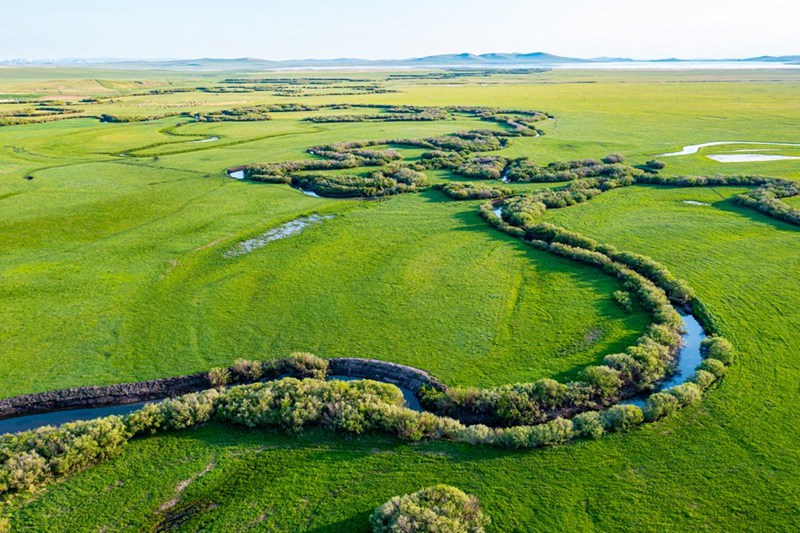 Mushukdagi mevalarning fotosurati