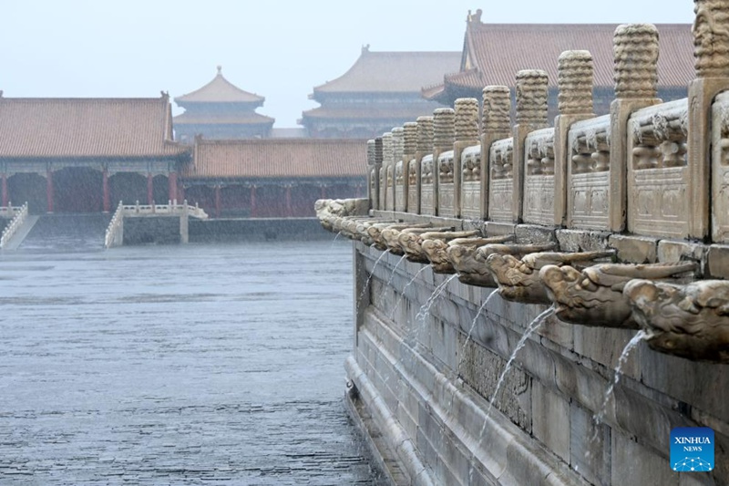 Tarehe 31, Julai, 2023, mfumo wa kuondoa maji wenye umbo la vichwa vya dragoni la kutoa mvua kwenye Kasri la Ufalme la Beijing, China. Mfumo wa kuondoa maji wa Kasri la Ufalme la China bado unafanya kazi hadi leo. (Picha/Jin Liangkuai)