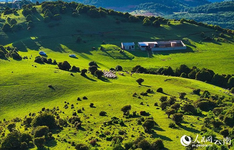 Picha ikionesha mandhari nzuri ya mbuga ya milimani ya Gulongba katika Mji Mdogo wa Binju wa Wilaya ya Binchuan, Mkoa wa Yunnan wa China. (Picha/Zhao Qingling)