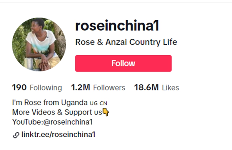 Akaunti ya TikTok ya Rose.