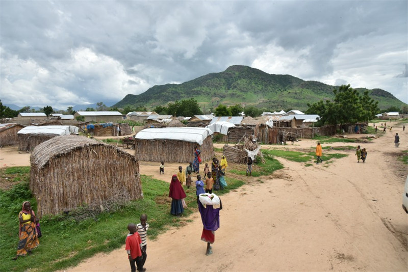 ICRC yapanda mbegu za matumaini kwa wakulima walioathiriwa na mgogoro Cameroon