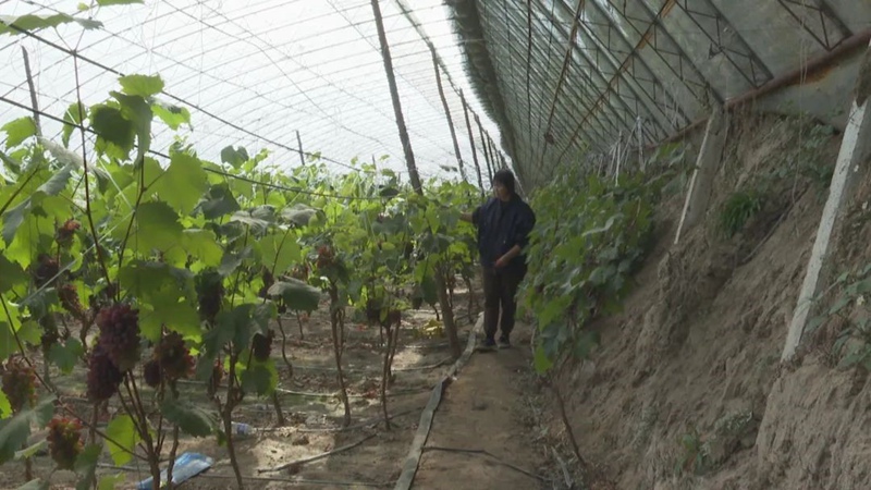 Kilimo cha kidijitali chatoa mbegu za mafanikio vijijini China