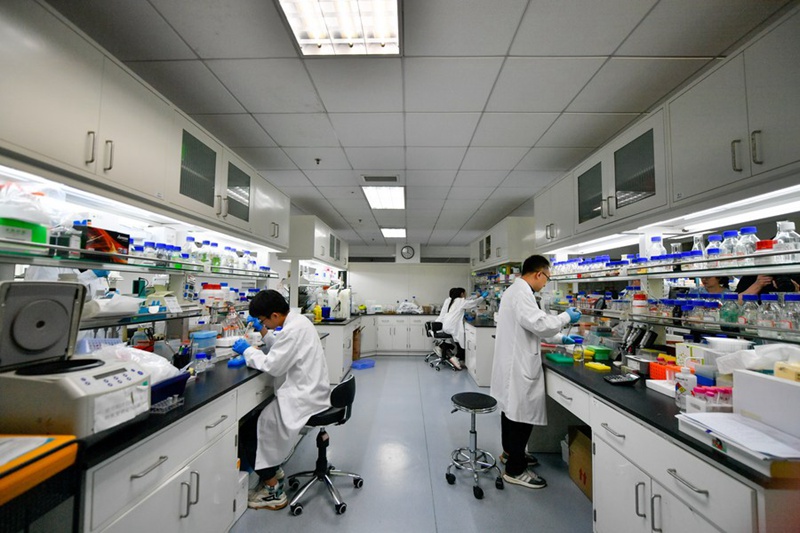 Wanasayansi wakifanya majaribio kwenye maabara ya Idara ya utafiti wa Teknolojia ya Biolojia ya ya Kiviwanda ya Tianjin chini ya CAS huko Tianjin, China, tarehe 13, Agosti, 2023. (Xinhua/Sun Fanyue)