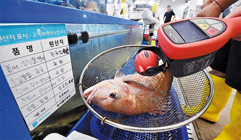Afisa wa karantini akipima kiwango cha mionzi cha samaki kwenye moja ya masoko huko Suwon, Seoul, tarehe 22 Agosti. (YONHAP NEWS AGENCY)