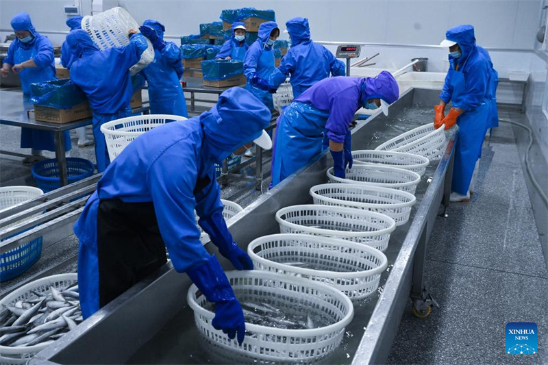 Ushirikiano wa Eneo Maalum la Viwanda kati ya China na Indonesia waleta manufaa kwa pande mbili