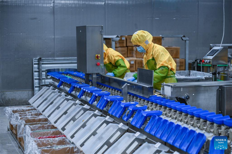 Ushirikiano wa Eneo Maalum la Viwanda kati ya China na Indonesia waleta manufaa kwa pande mbili