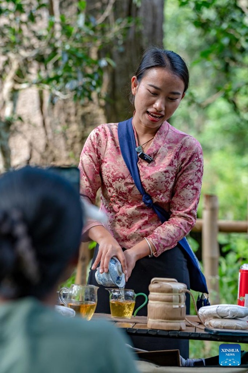 Misitu ya kale ya chai katika eneo la Pu'er la China yaorodheshwa kuwa eneo la urithi wa Dunia