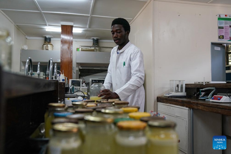Ushirikiano wa kilimo kati ya Kenya na China wasaidia mapambano dhidi ya njaa, mabadiliko ya vijijini