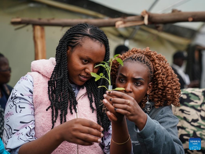 Ushirikiano wa kilimo kati ya Kenya na China wasaidia mapambano dhidi ya njaa, mabadiliko ya vijijini