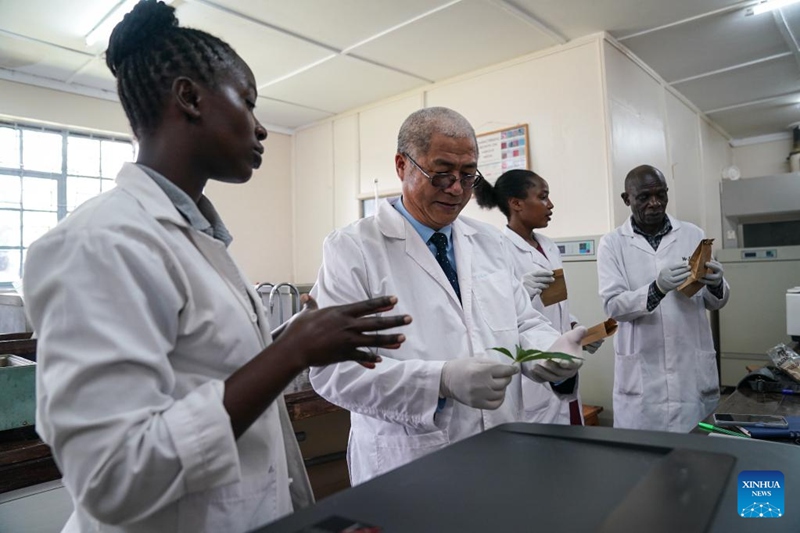 Ushirikiano wa kilimo kati ya Kenya na China wasaidia mapambano dhidi ya njaa, mabadiliko ya vijijini