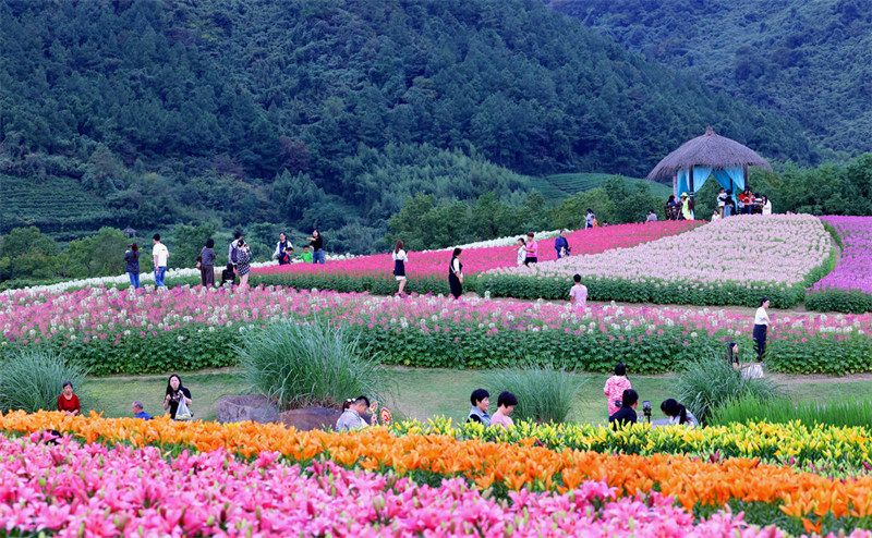 Bahari ya Maua ya Mlima Jing katika Mji wa Hangzhou wa Zhejiang, China yakaribisha watalii