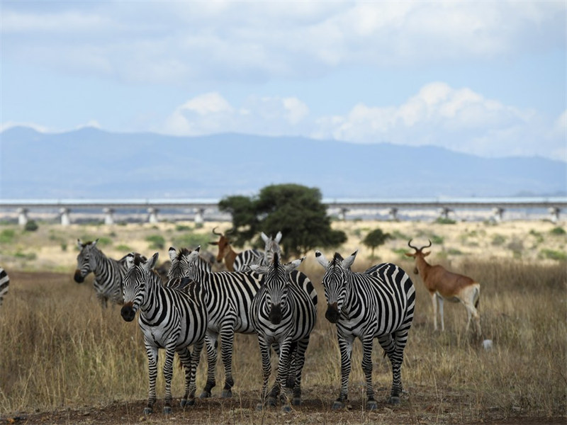 Kutalii Hifadhi ya Taifa ya Nairobi nchini Kenya kupitia lenzi ya kamera