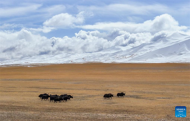 Mandhari ya Hifadhi ya Taifa ya Mazingira Asilia ya Milima ya Altun katika Mkoa wa Xinjiang, China