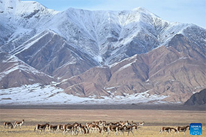 Mandhari ya Hifadhi ya Taifa ya Mazingira Asilia ya Milima ya Altun katika Mkoa wa Xinjiang, China