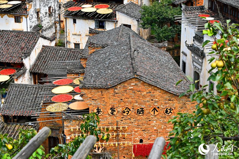 Wanakijiji wakikausha mazao kwa jua huko Wuyuan, Mkoa wa Jiangxi, Mashariki mwa China