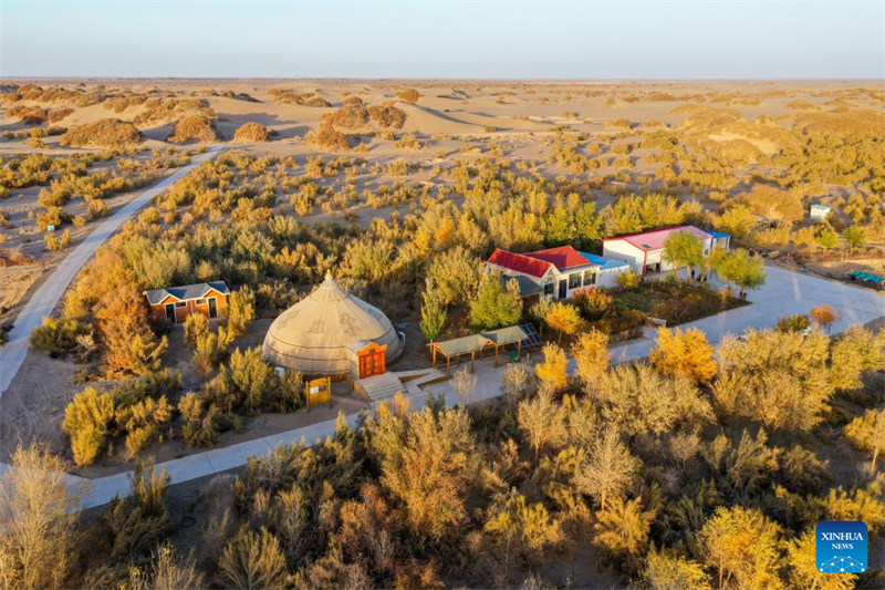 Habari ya picha ya wanandoa wapanda msitu katika Mkoa wa Mongolia ya Ndani, China