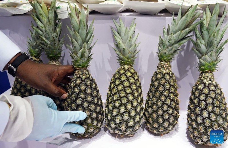 Teknolojia za hali ya juu na bidhaa mpya zaonekana kwa mara ya kwanza kwenye Maonyesho ya 6 ya Uagizaji Bidhaa ya China (CIIE)