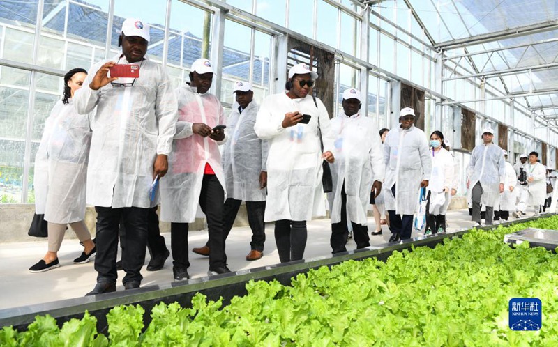 Thamani ya biashara ya mazao ya kilimo kati ya China na Afrika yatazamiwa kuzidi Dola za Kimarekani bilioni 10 mwaka 2023
