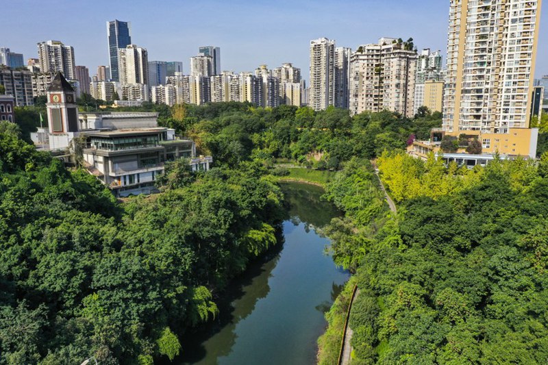 Katika Picha: Urejeshaji wa mazingira ya asili ya Mto Panxi wazaa matunda katika Mji wa Chongqing, China