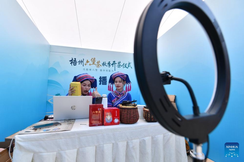 Kazi ya chai ya Liubao yastawi katika Mji wa Wuzhou, Kusini mwa China