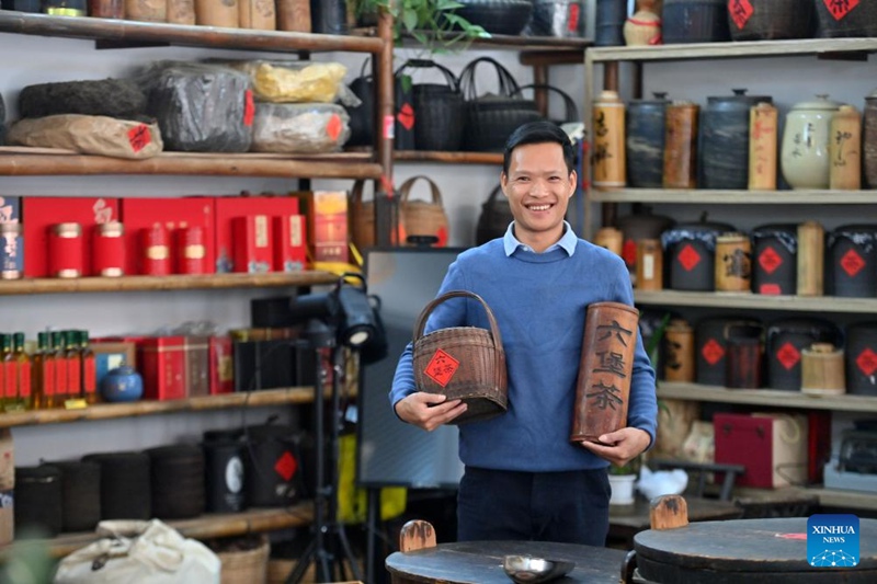 Kazi ya chai ya Liubao yastawi katika Mji wa Wuzhou, Kusini mwa China