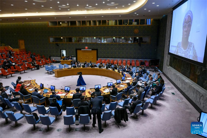 Baraza la Usalama la Umoja wa Mataifa likifanya mkutano kuhusu hali ya Jamhuri ya Kidemokrasia ya Kongo (DRC) kwenye makao makuu ya Umoja wa Mataifa mjini New York, Desemba 11, 2023. (Eskinder Debebe/Picha ya UN / Xinhua)