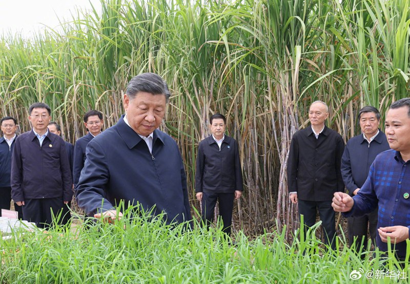 Rais Xi Jinping wa China afanya ziara ya ukaguzi mjini Laibin mkoani Guangxi