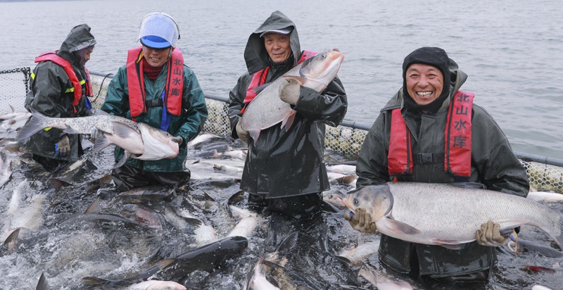 Wavuvi wafurahia mavuno ya samaki katika Mkoa wa Jiangsu, China