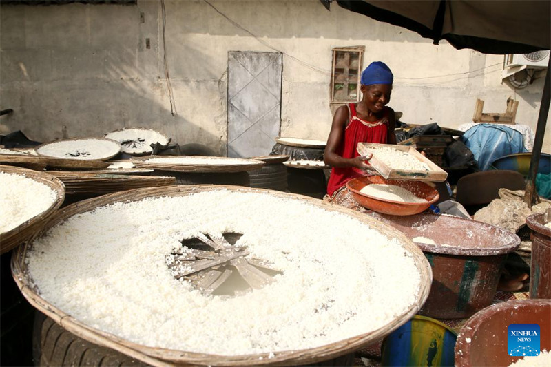 Mwanamke akikausha unga wa muhogo juani mjini Abidjan, Cote d'Ivoire, Desemba 27, 2023. (Picha na Yvan Sonh/Xinhua)
