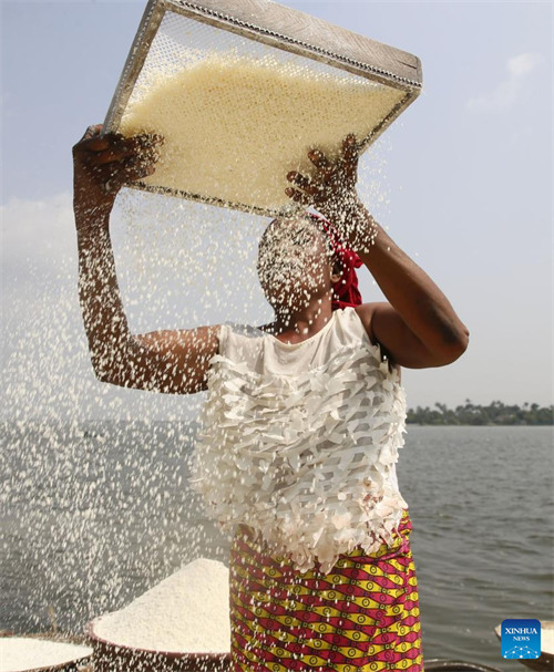 Habari Picha: Watu wakitengeneza unga wa muhogo mjini Abidjan, Cote d'Ivoire