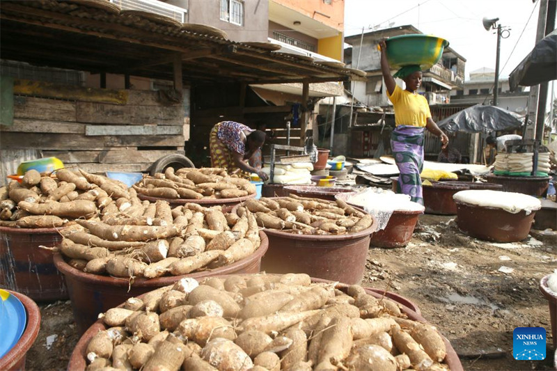 Habari Picha: Watu wakitengeneza unga wa muhogo mjini Abidjan, Cote d'Ivoire