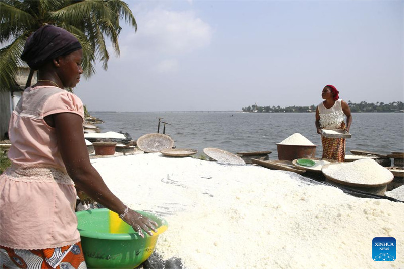 Habari Picha: Watu wakitengeneza unga wa muhogo mjini Abidjan, Cote d'Ivoire