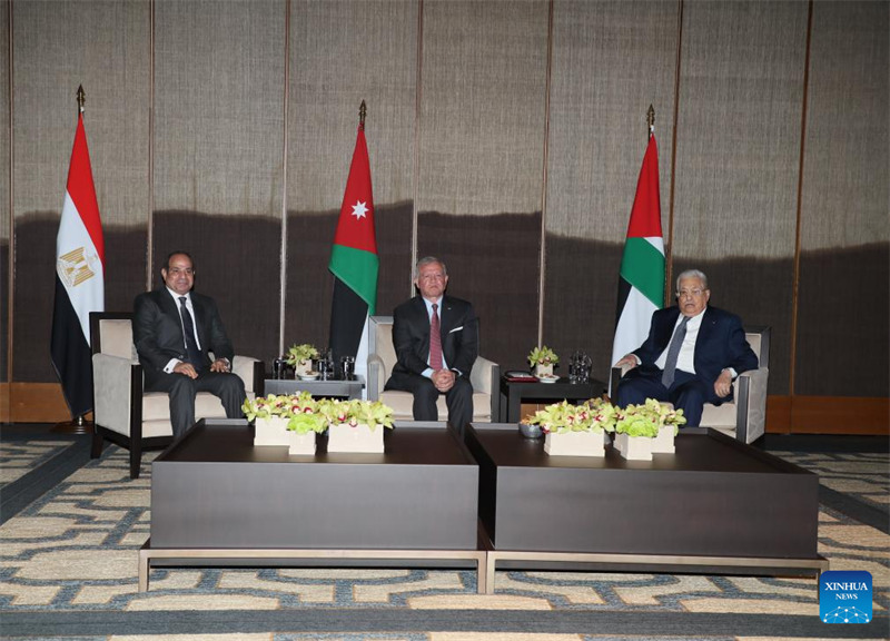 Jordan, Palestina, Misri zasisitiza kukataa mipango yoyote ya Israeli ya kuwaondoa Wapalestina kwenye maeneo yao