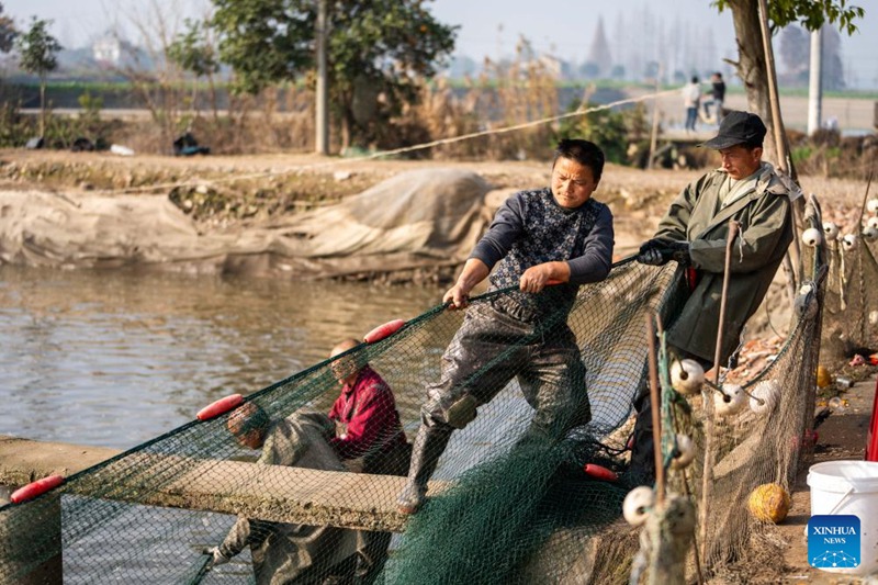 Wavuvi wakivua samaki katika Kijiji cha Yanhedi kilichoko Wilaya ya Nanxian, Mkoa wa Hunan, Katikati ya China, Januari 13, 2024. (Xinhua/Chen Sihan)