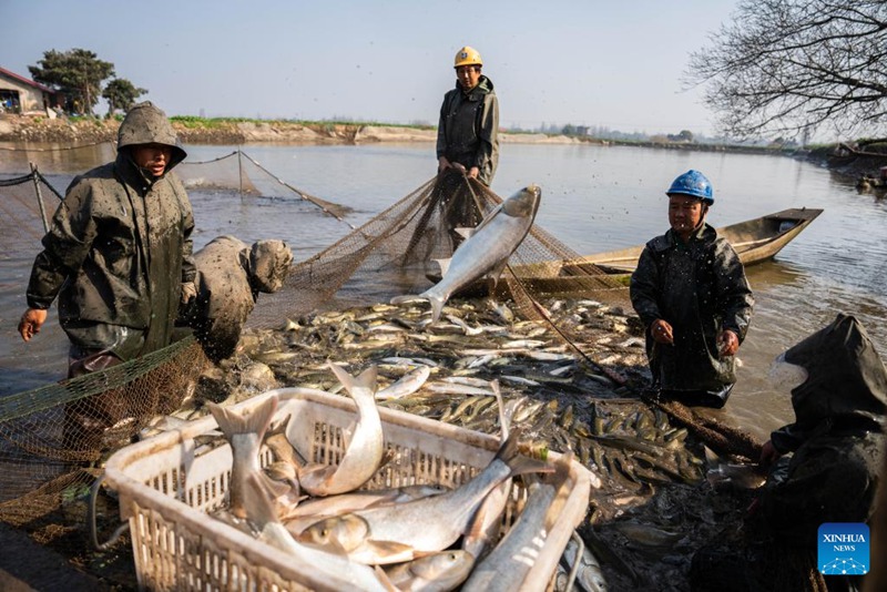 Pilikapilika za uvuvi wa majira ya baridi katika Mkoa wa Hunan, Katikati ya China