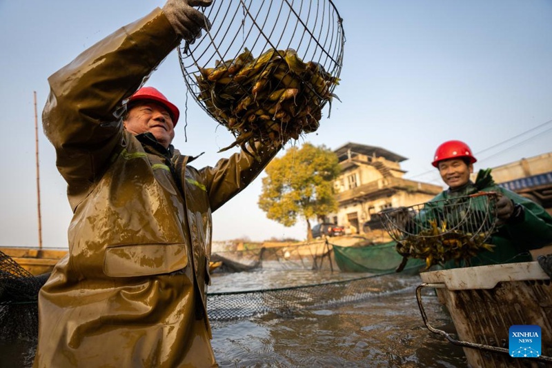 Pilikapilika za uvuvi wa majira ya baridi katika Mkoa wa Hunan, Katikati ya China