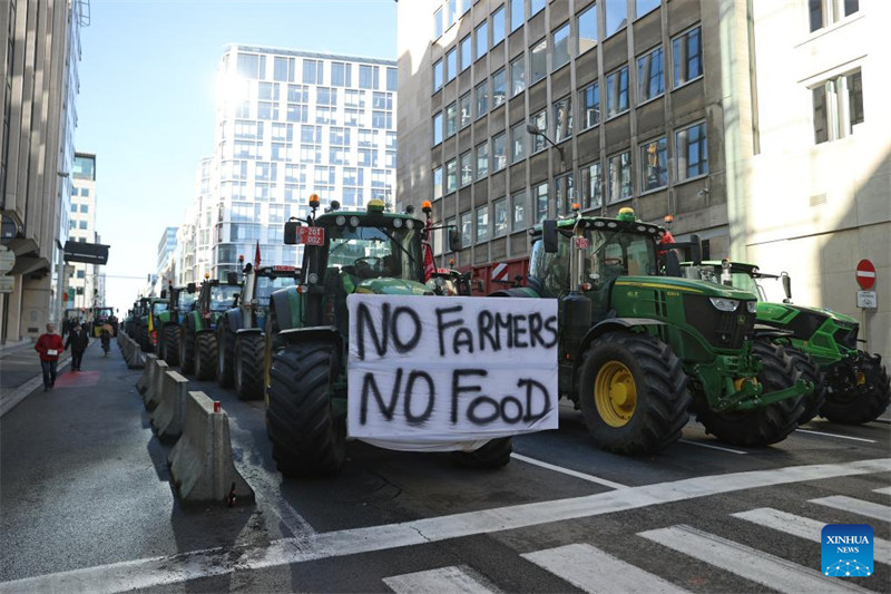 Matrekta yakiwa yamefunga barabara wakati wa maandamano huko Brussels, Ubelgiji, Februari 1, 2024. (Xinhua/Zhao Dingzhe)