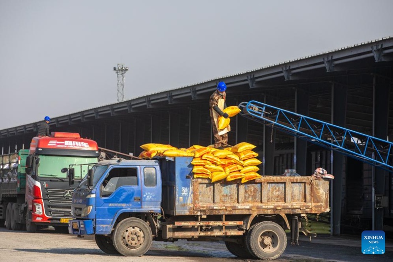Mfanyakazi akibeba mbolea ya kemikali kwenye eneo la mizigo la Stesheni ya Reli ya Zhaodong, dohari ya Daqing ya Shirika la Reli la China Tawi la Harbin, Mkoa wa Heilongjiang, Kaskazini-Mashariki mwa China, Machi 13, 2024. (Xinhua/Zhang Tao)
